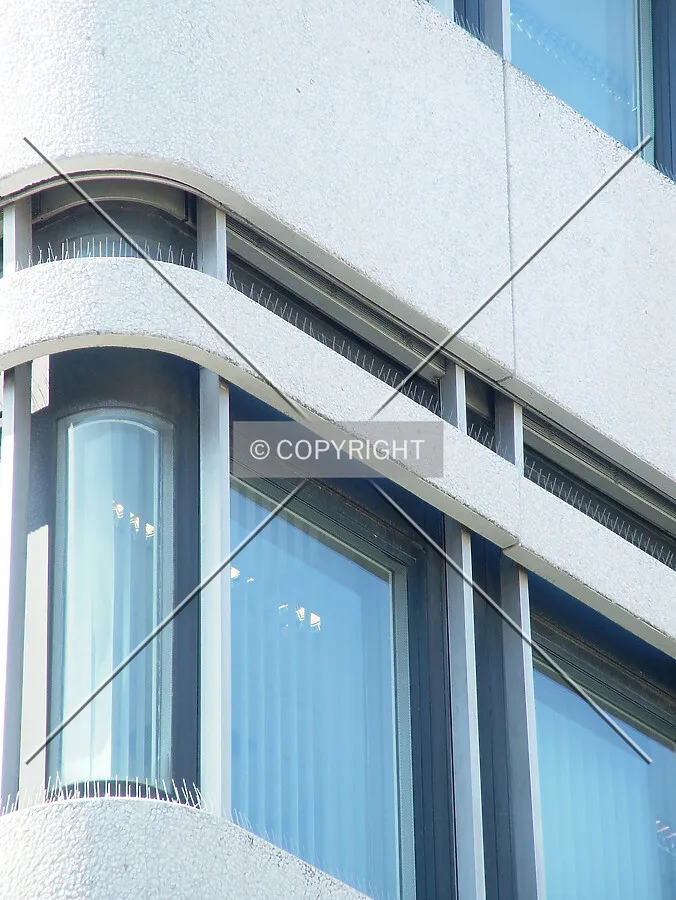 Close-up of the windows