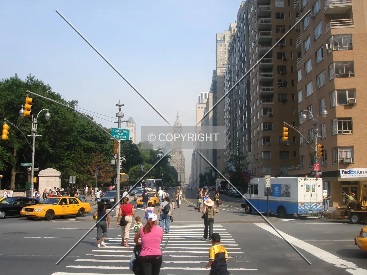 Photo 350-296-494