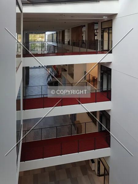 Photo 350-350-471