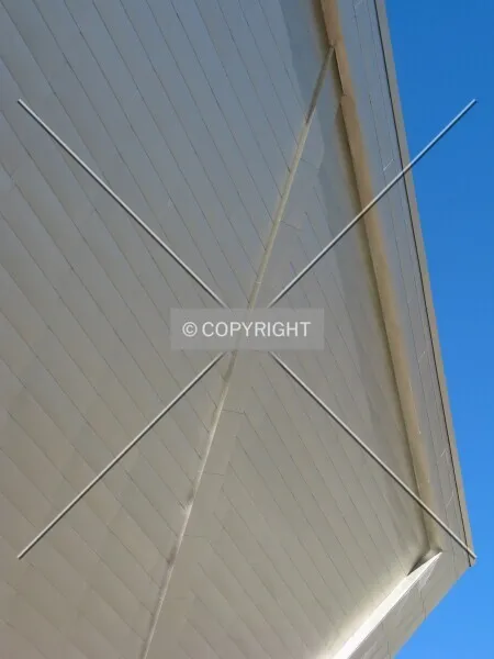 Photo 350-572-357