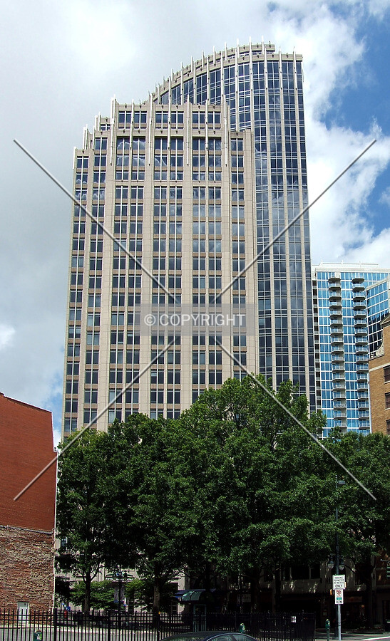View from the east