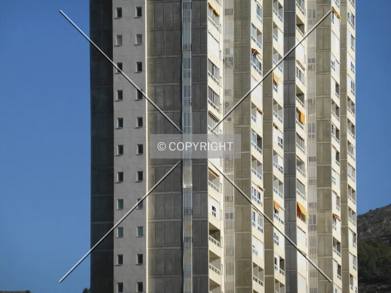Photo 350-992-947