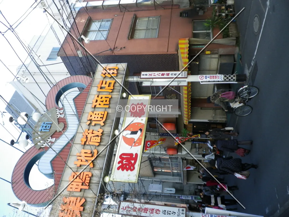 Photo 351-123-247