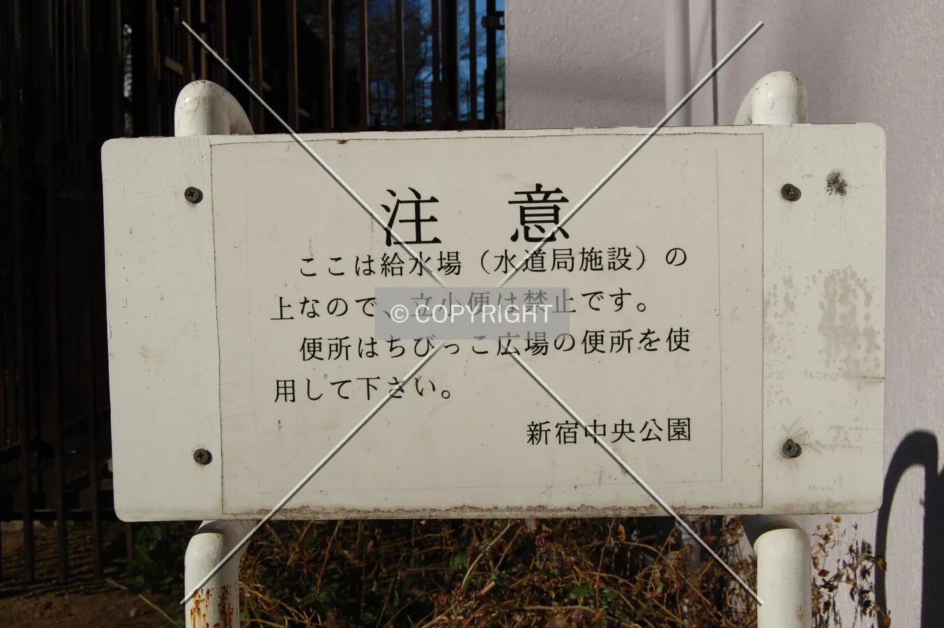 Photo 351-241-342