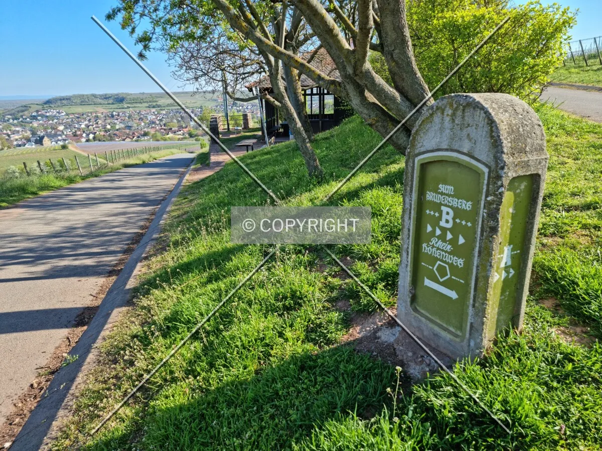 Photo 035-176-521