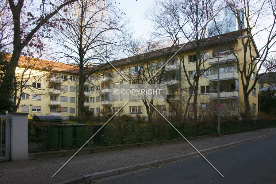 Photo 352-183-276
