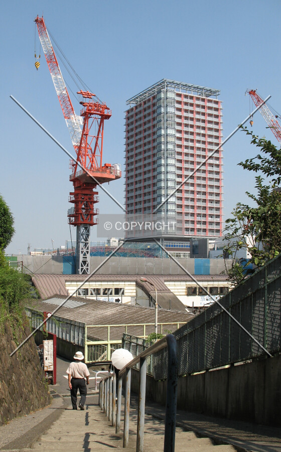 View from the south