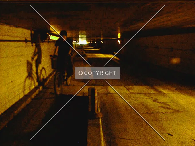 Photo 352-260-067