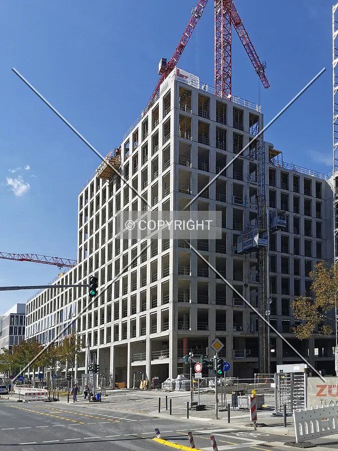 Photo 352-272-262