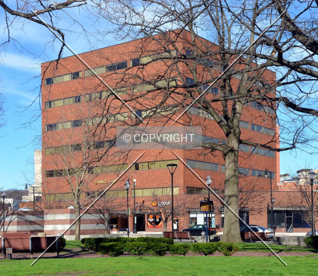 View from the southwest