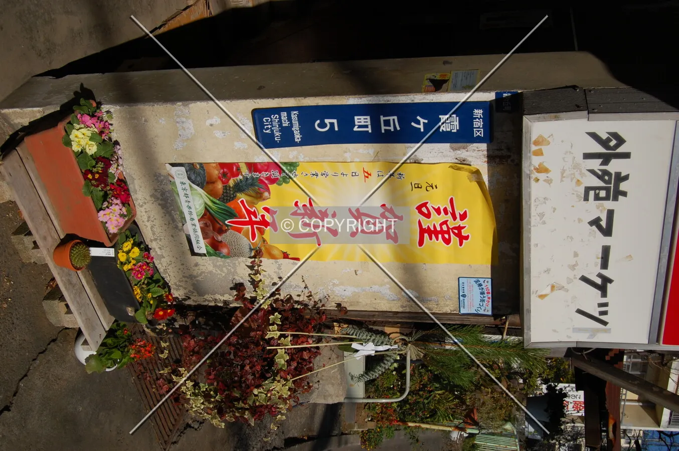 Photo 352-403-847