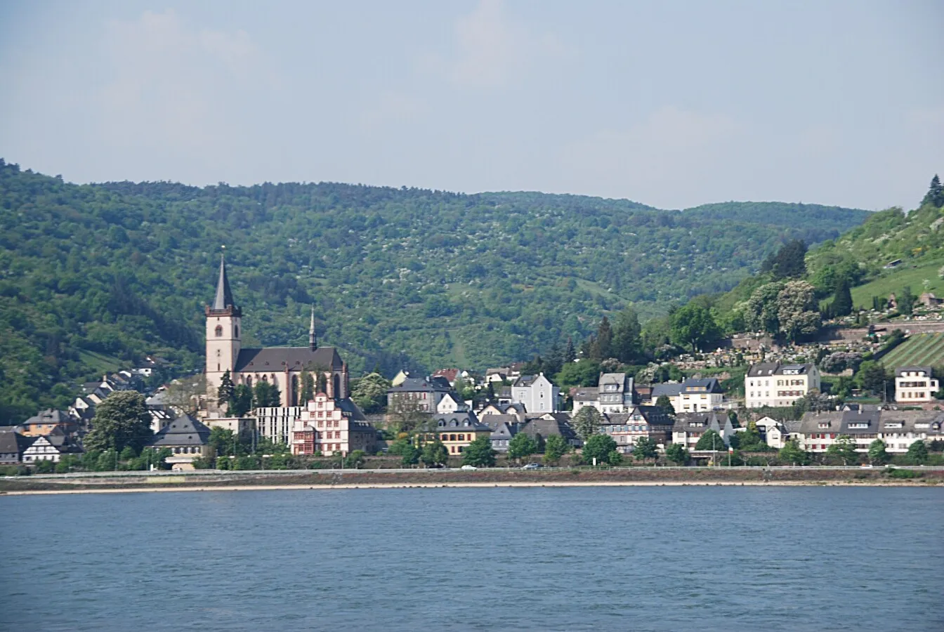 View from the Rhine river