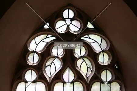 Photo 353-021-005