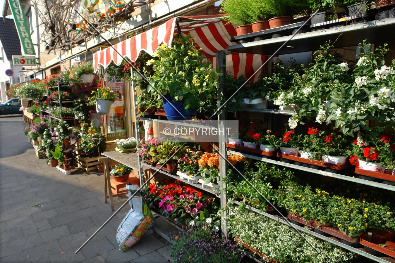 Floweres offered for sale