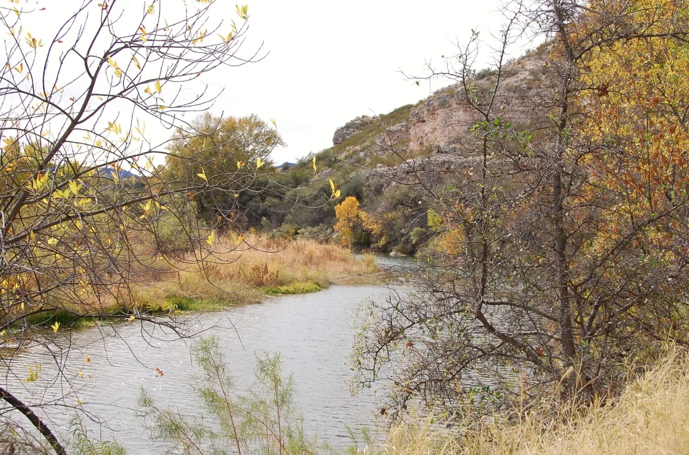 Beaver Creek - The source of water for early indigenous peoples.