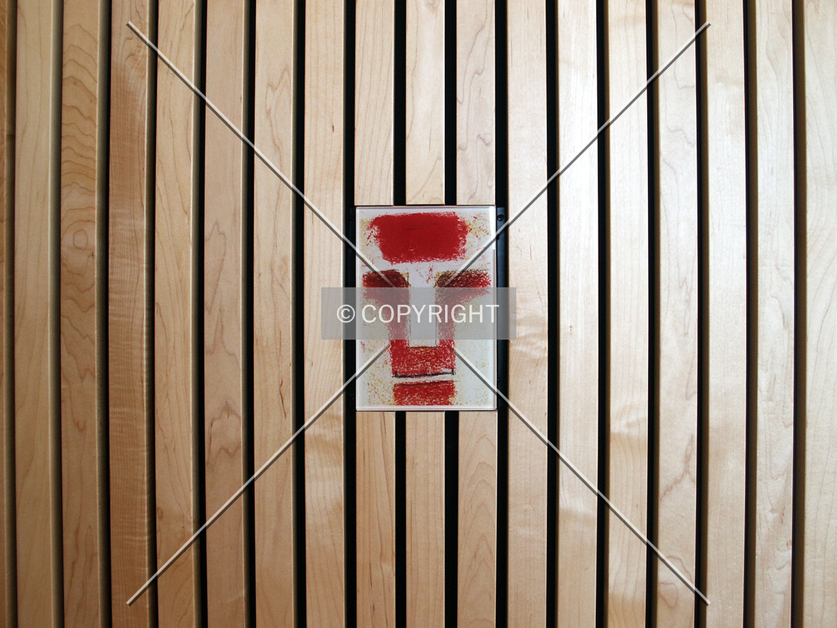 One of the faces by Santiago Calatrava on the inner wall of the lobby