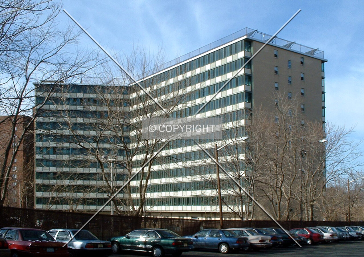 View from the south