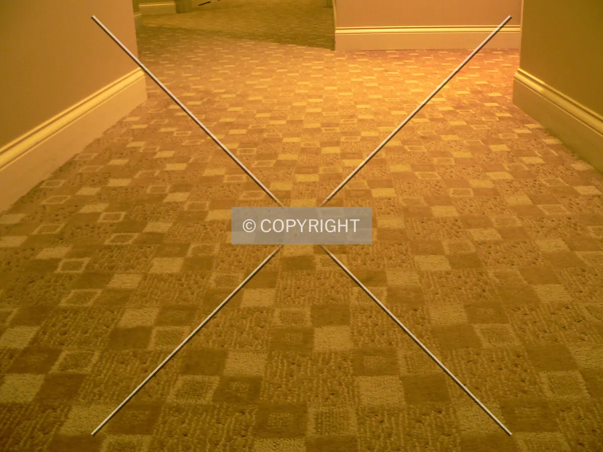 Carpeting in the 8th floor corridor