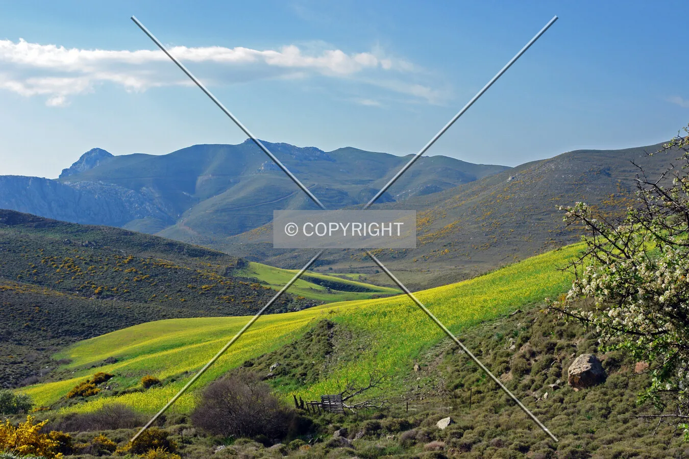 south Crete in spring