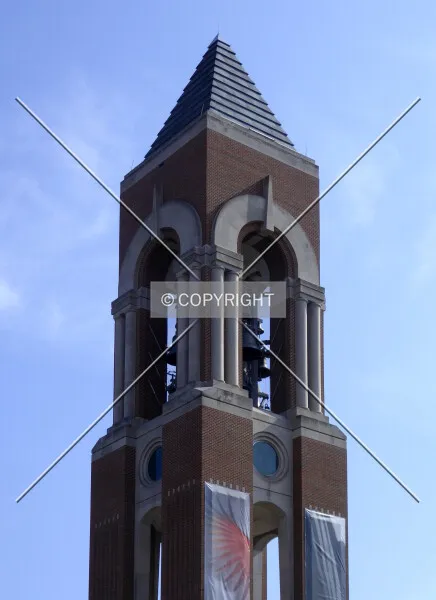 Photo 354-773-751