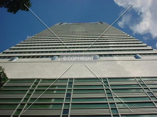 View to the top