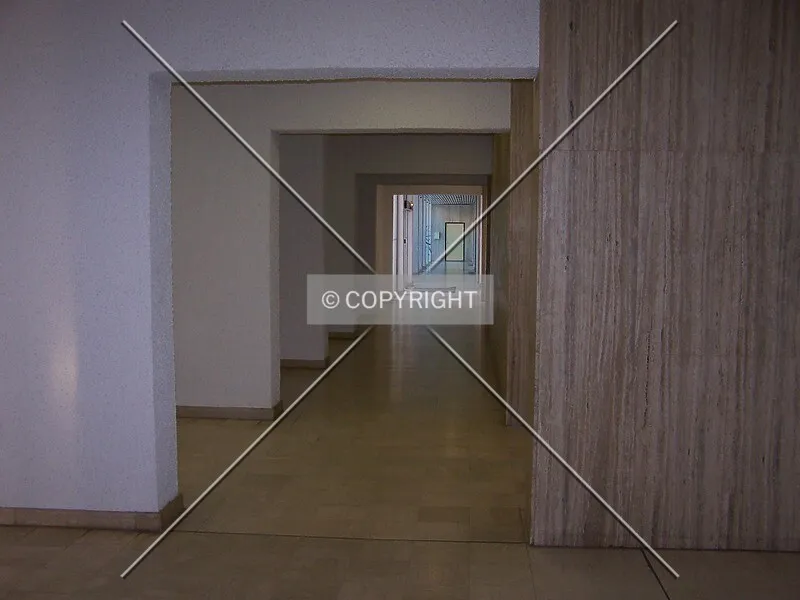 Photo 354-787-045