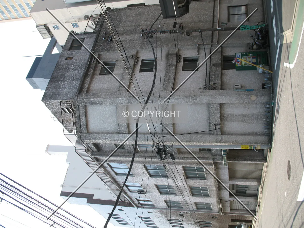 Photo 354-908-264