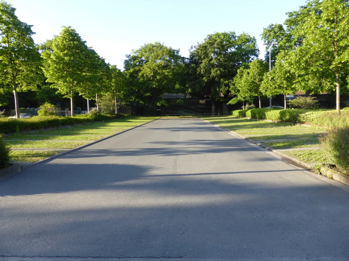 Photo 355-275-956