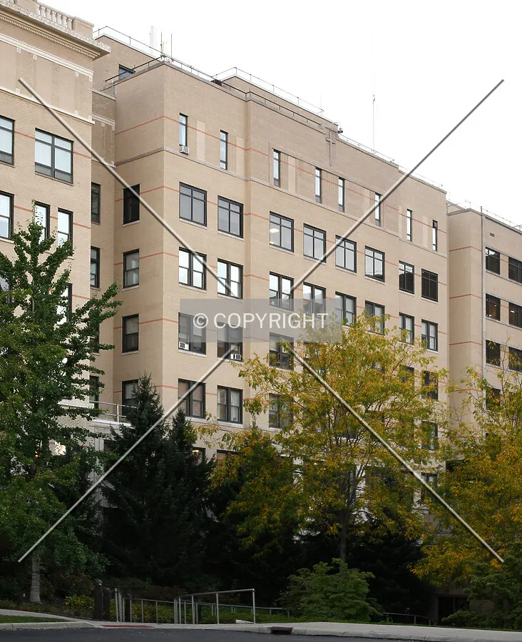 View from the northeast