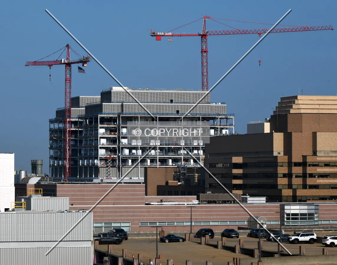 View from the southeast