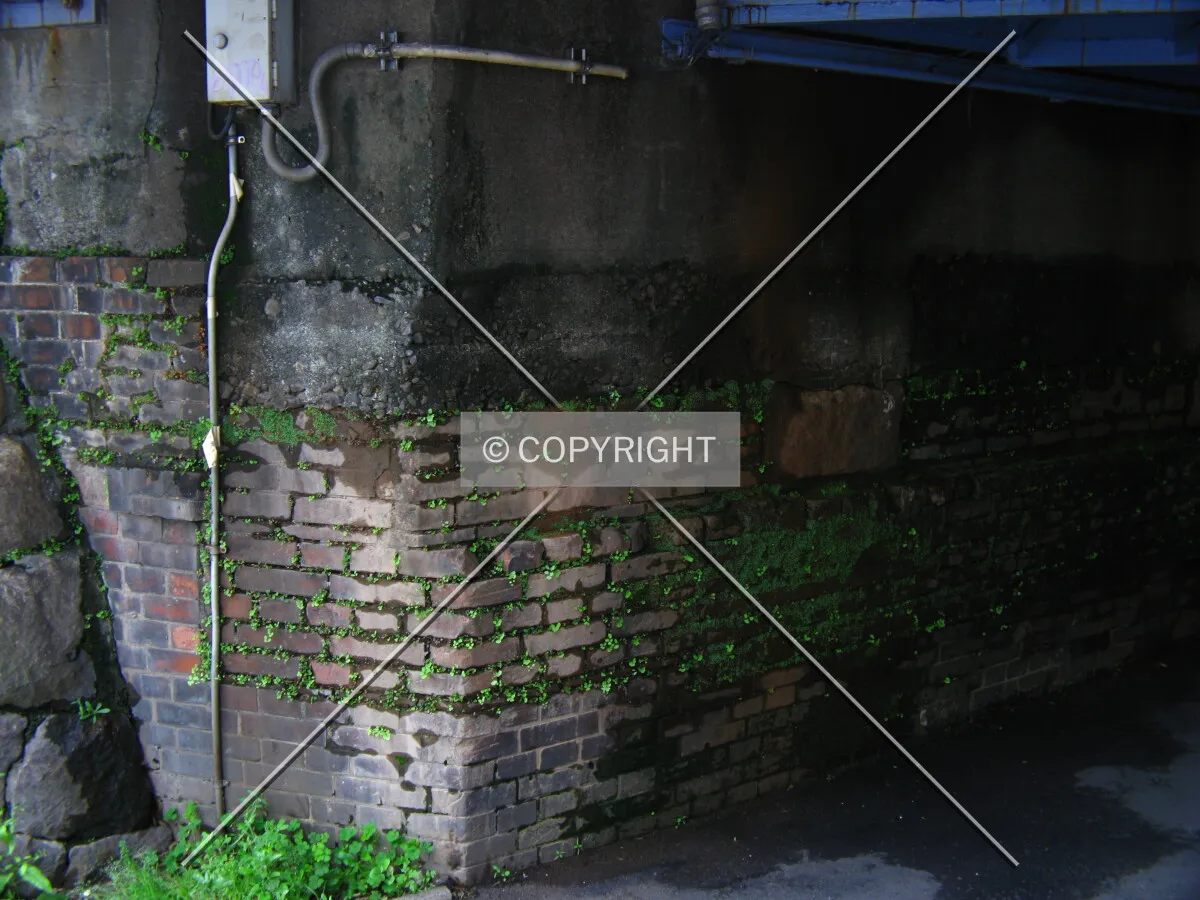 Photo 035-627-843