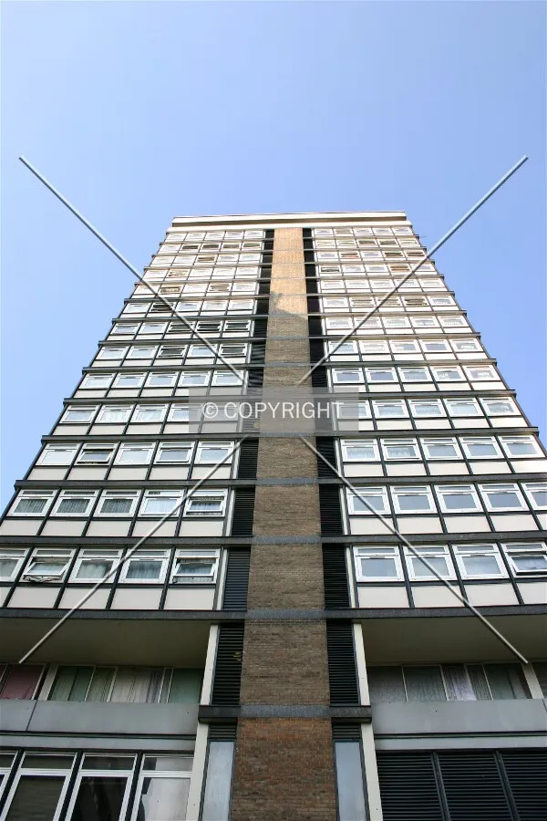 Looking up from Hopkins Street