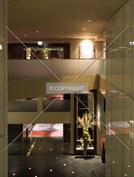 Photo 358-159-228