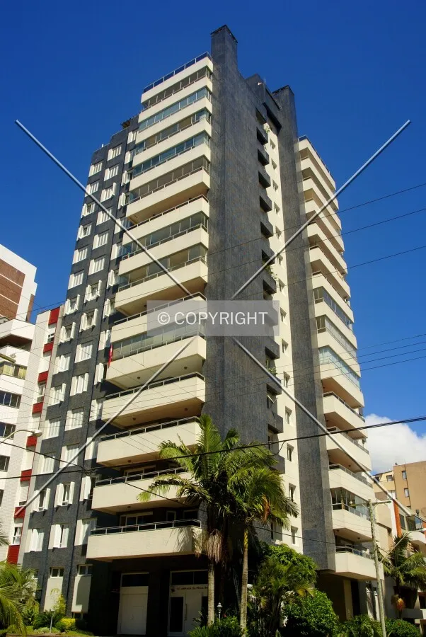 Looking up from across Silva Jardim Avenue