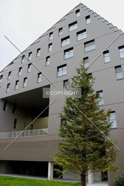 Photo 358-517-012
