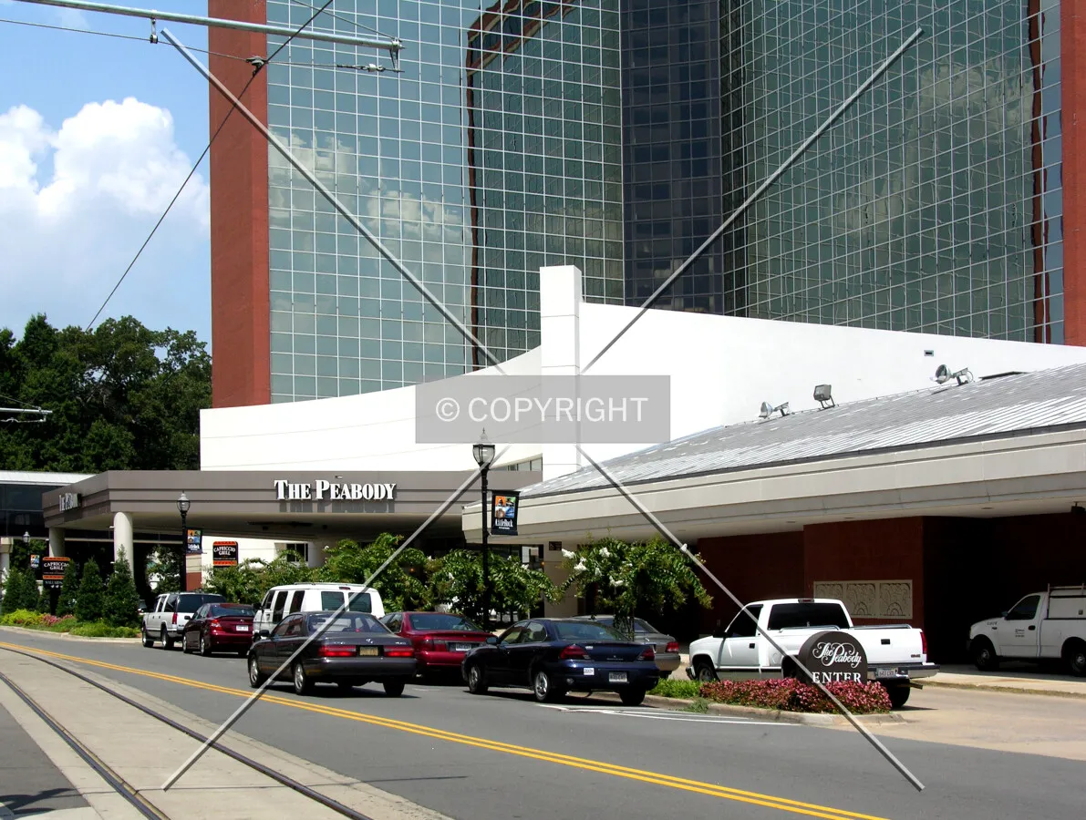 Main entrance area off Markham Street