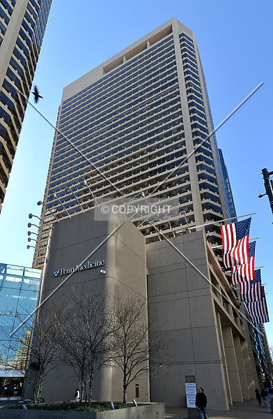 Photo 358-781-373