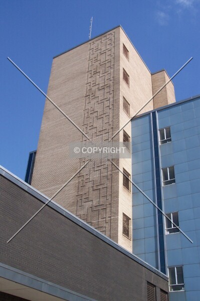 Photo 359-135-352