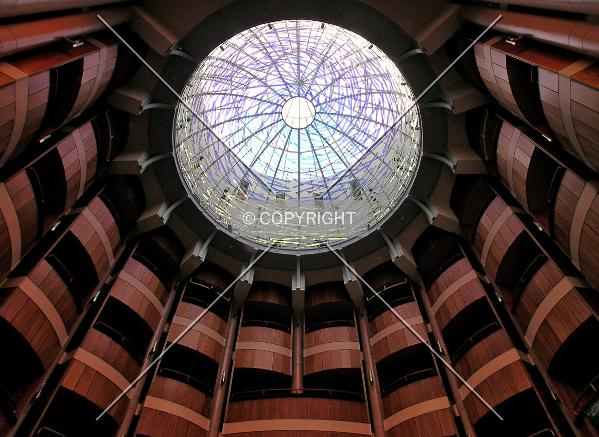 Looking up the skydome