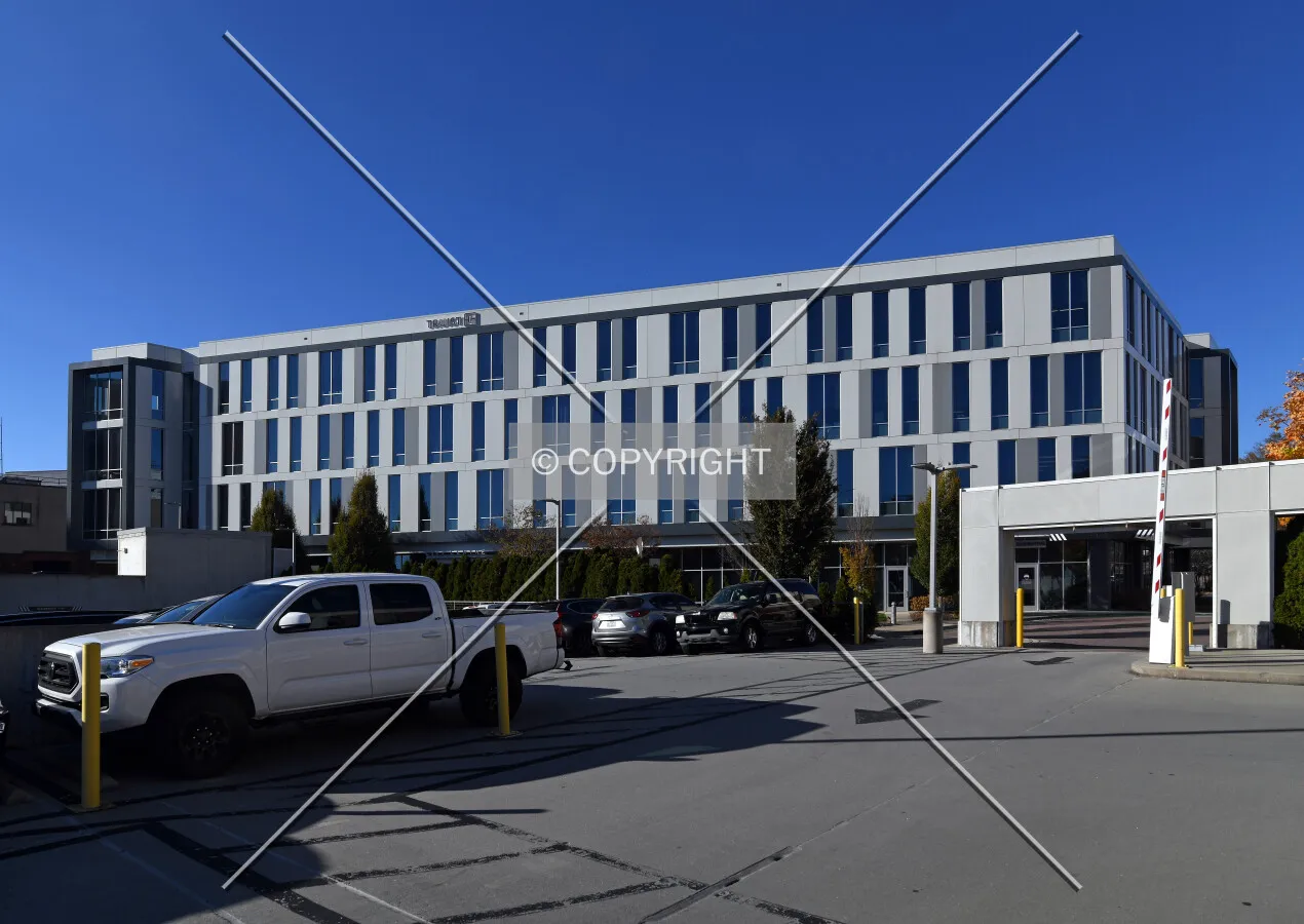 View from the southeast