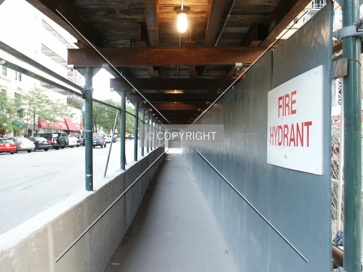 Looking south through the Sherman Avenue pedestrian canopy