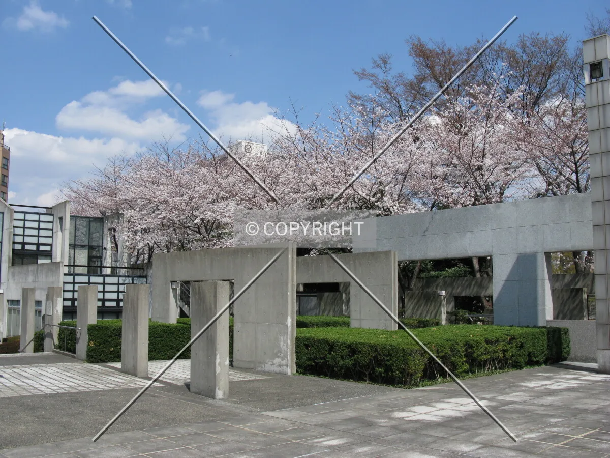 Photo 360-023-117