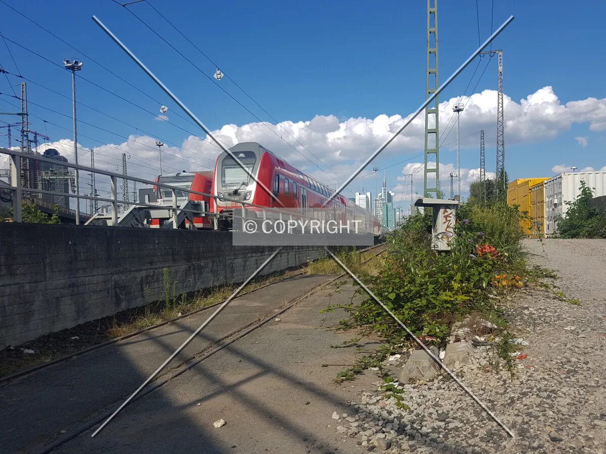 Photo 360-032-662
