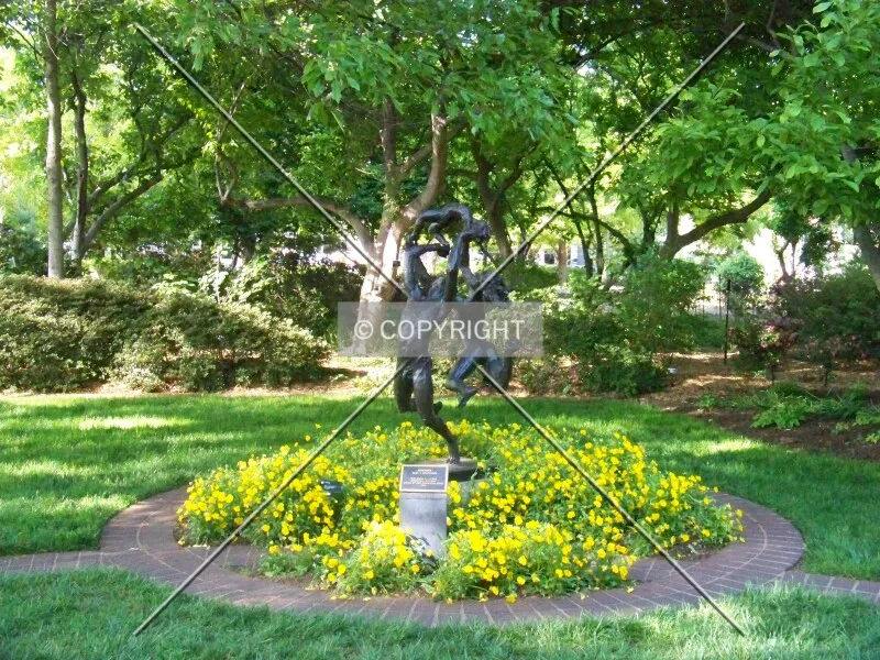 Photo 360-540-754