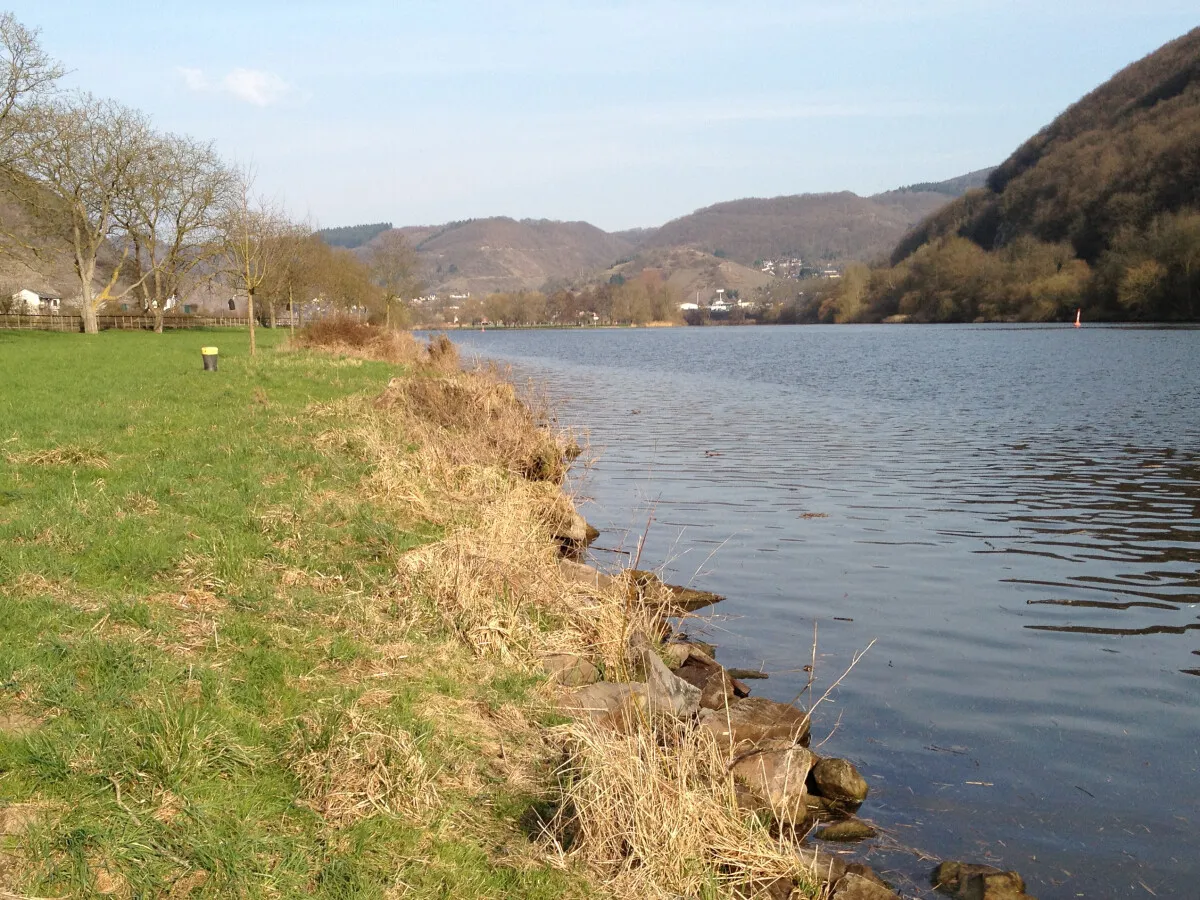Photo 360-545-932
