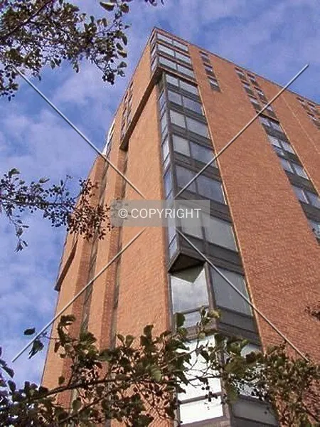 Photo 360-788-439