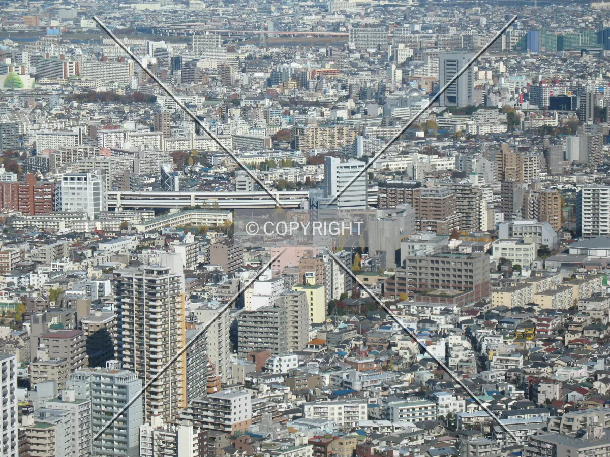 Photo 361-271-478