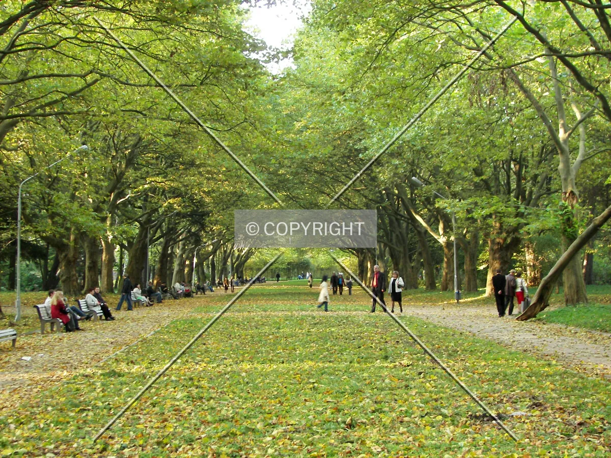 Stryis'kyi Park