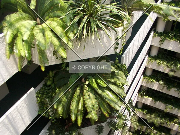Photo 361-600-609