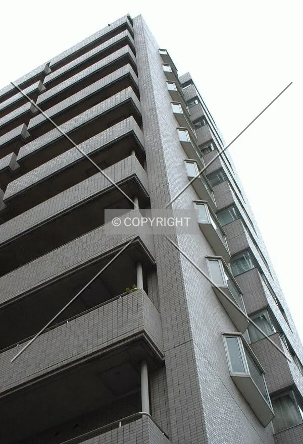 Photo 361-701-343
